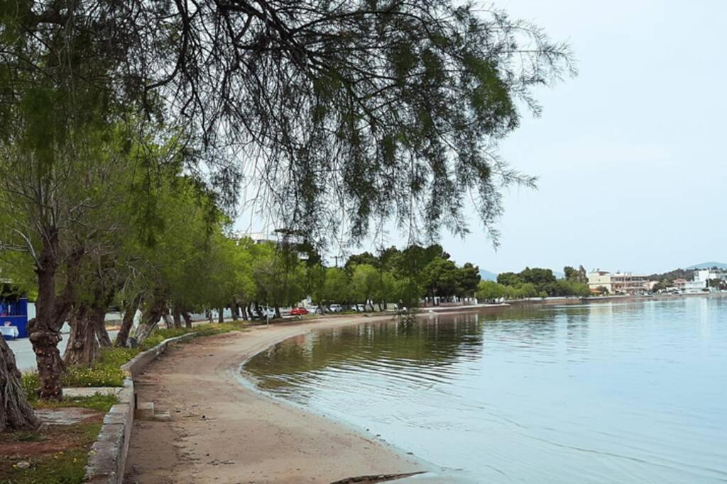 Apartment πολυτελές 3 χαλκίδα-παραλία αυλίδος Paralia Avlidhos